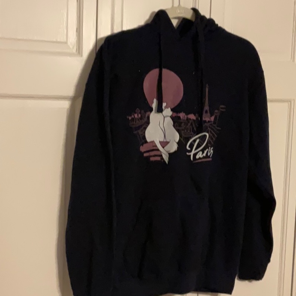 BOXLUNCH Disney hooded Aristocrat in Paris sweatshirt size M